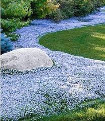 Damit der garten zu einem traumhaften rückzugsort am haus wird, haben wir ideen für eine geschickte gartengestaltung, accessoires sowie tipps für gartenmöbel. Die 22 Besten Ideen Zu Garten Schluter In 2021 Garten Garten Schluter Pflanzen