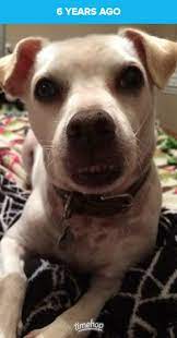 Menu & reservations make reservations. Noah West Coast Pet Memorial Services