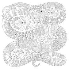 This fun one came from a vintage coloring book, probably circa 1950's, but no copyright is in the book. Millie Marotta Snake Google Search Snake Coloring Pages Millie Marotta Coloring Book Coloring Pages