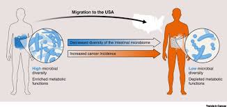 Cancer changes a person's life in many ways, and one aspect rarely discussed openly is how going through treatment for the illness can affect intimacy within relationships. The Cancer Microbiome Distinguishing Direct And Indirect Effects Requires A Systemic View Sciencedirect