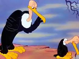 No nope nope no no no. Looney Tunes No No Nope Beaky Buzzard Dailymotion Video