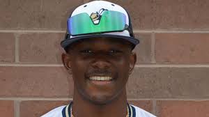 Detroit High School Sports Awards 2021: Baseball honorees