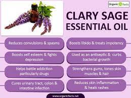 The opening of this russian clary sage is how you would imagine, herbaceous floral and full of fruity tea nuances. Pin On Essential Oils