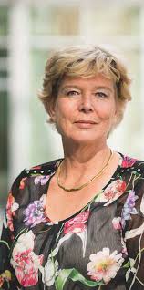 Archeologische Kroniek