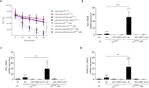 We did not find results for: D Alanylation Of Teichoic Acids In Bacilli Impedes The Immune Sensing Of Peptidoglycan In Drosophila Biorxiv