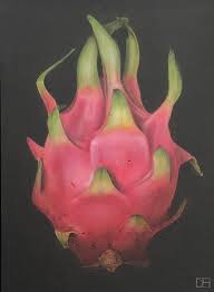 Dani Humberstone Dani Humberstone Dragon Fruit Original Painting Realistic Fruit Painting For Sale At 1stdibs Learn how to draw realistic fruit with colored pencils. dani humberstone dragon fruit original painting realistic fruit painting