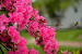 Nature 1080p Hd Wallpapers For Pc