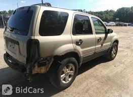 Image result for Gold Ash 2005 Escape