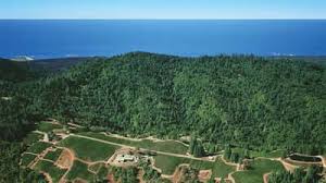 The vineyard that started it all. Flowers Vineyards And Winery Northbay Biz