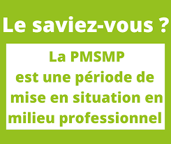 Ce nouvel outil d'aide au retour à l'emploi, permettra. La Pmsmp Mission Locale Du Chinonais