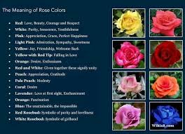Maybe you would like to learn more about one of these? What Do Pink And White Roses Mean Hno At