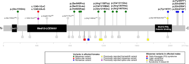 De Novo Variants In Med12 Cause X Linked Syndromic Neurodevelopmental Disorders In 18 Females Genetics In Medicine