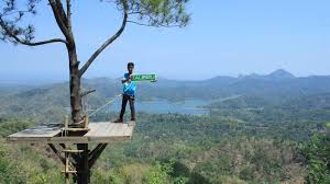 Secara administratif kebun teh nglinggo berada di dusun nglinggo, desa pagerharjo , kecamatan samigaluh, kab. 5 Tempat Wisata Alam Di Kulonprogo Mulai Dari Kalibiru Hingga Kebun Teh Nglinggo Tribun Jogja