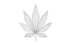 500x500 weed tattoos designs, ideas and meaning tattoos for you. How To Draw A Pot Leaf