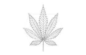 See more ideas about art inspo space painting and aesthetic painting. How To Draw A Pot Leaf