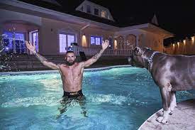 Wrestler vemola proved he could throw with a striker, taking out strong silverback seth. Galerie Drsny Bijec Karlos Vemola Smutni Utekla Mu Milovana Lizinka Foto 5 Isport Cz