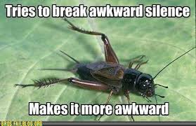 Crickets Awkward Silences Make Me Laugh Funny Pictures