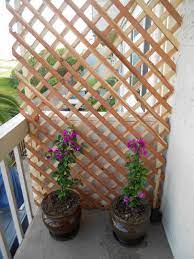 Create A Beautiful Private Balcony By Using Some Lattice Wood And Your Favorite Climbing Plant Fuschia Boug Small Balcony Garden Balcony Privacy Balcony Shade