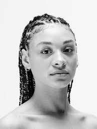 Collaborators — PVMNT