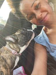 Considering getting another French Bulldog as a companion for your  5-month-old Frenchie?