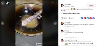 Gambar lucu kartun, bergerak, animasi, meme, malam jumat (lengkap). Wanita Goreng Tokek Dan Cicak Untuk Hidangan Makan Malam Videonya Viral