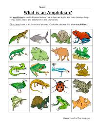 Animals Worksheets Have Fun Teaching Animal Worksheets Science Worksheets Animal Learning Activities