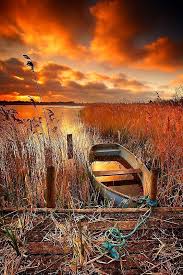 Old Boat Avec Images Photographie De Paysages Paysage Automnal Images Paysages