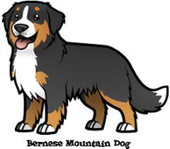 Choose A Pet Cute Dog Drawing Dog Drawing Dog Sketch