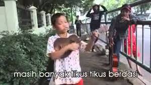 Chords For Kolam Susu Versi Korupsi By Pengamen Cilik