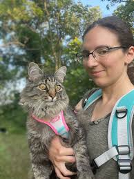 Animal jobs in Summerville area, shelters or pet care available?