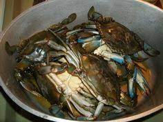 Cooking Blue Crab The Easy Way To Cook Fresh Blue Claw Crabs Blue Crab Recipes Cooking Crab Blue Claw Crab
