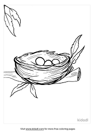 Let's say you're walking along in the woods and you spot a beautiful little bird nest up in a tree. Bird Nest Coloring Pages Free Birds Coloring Pages Kidadl