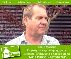 Te Anau artist opens backyard studio gallery