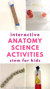 Make this adorable car craft for preschoolers with your kids today. Anatomy Activities For Kids Easy Human Body Stem