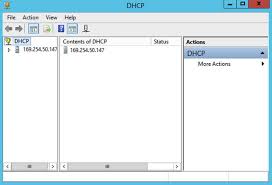 In addition to the open source server from isc, a number of commercial products provide a management interface and/or an ip address management application that incorporates isc dhcp as the dhcp server. New Dhcp Server Shows 169 254 Xxx Xxx Argon Systems