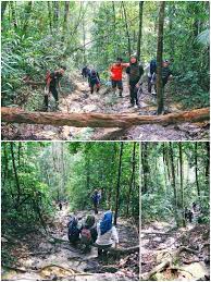We did not find results for: 9 Jam Mendaki Gunung Angsi Bersama Anak Anak Yang Comel