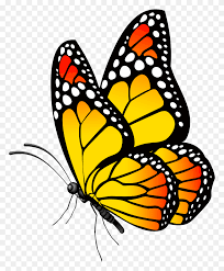 Butterfly set vector clipart by jut 97/10,816. Clipart Of A Yellow Butterfly Clip Art Images Monarch Butterfly Clipart Stunning Free Transparent Png Clipart Images Free Download