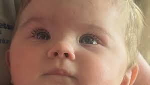 Fundraiser for Jimmy Childress by Ashley Childress : Assist Quadruple  Murder Victims' Family- Dyer TN