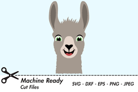 Descubre nuestra selección christmas llama svg. Cute Boy Llama Face Graphic By Captaincreative Creative Fabrica