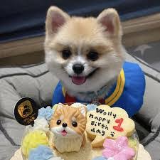 Doris Woo's Instagram, Twitter & Facebook