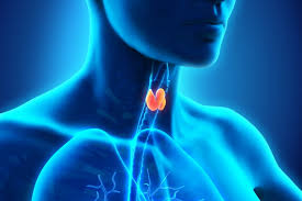 Check spelling or type a new query. Hypothyroidie Quels Sont Les Signes Et Consequences