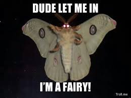 Dude I M A Fairy Totally Not Mothman That Will Eat Your Soul Savage Funny Funny Memes Best Funny Pictures
