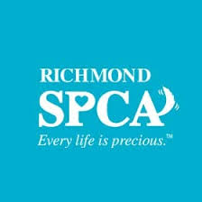 Maybe you would like to learn more about one of these? Pets For Adoption At Richmond Spca In Richmond Va Petfinder