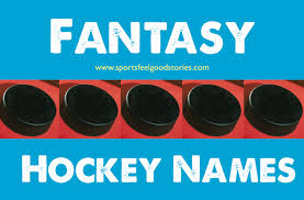 Funny Fantasy Hockey Team Names Good Creative Best Nhl Fantasy Hockey Hockey Team Names Hockey Teams