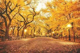 秋季养生养肺为要，秋季养肺润肺为要，吃什么可以润肺？ - 生活资讯(娱乐新闻网)