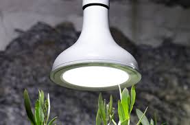 Fluorescent tube grow light bulbs. Grow Light Bulbs Nelson Garden