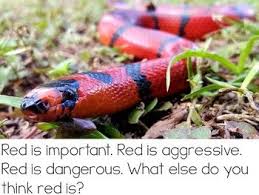 Let S Talk About Colors Interactive Read Aloud Powerpoint Milk Snake Snake Vine Snake