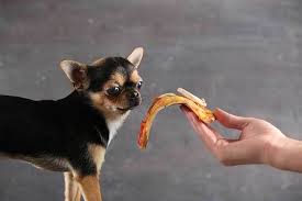 Pizza is one of the most popular foods in america, and pepperoni is, by far, the most popular pizza topping. Can Dogs Eat Pizza Don T Feed Till You Read This