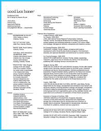 If You Want To Work As An Art Director You Should Make An Art Director Resume As An Art Director You S Disney College Program Interactive Art Resume Writing