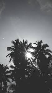 Black And White Wallpapers Free By Zedge We have a great selection of black wallpapers and black background images for mac os computers, macbooks and windows computers. black and white wallpapers free by